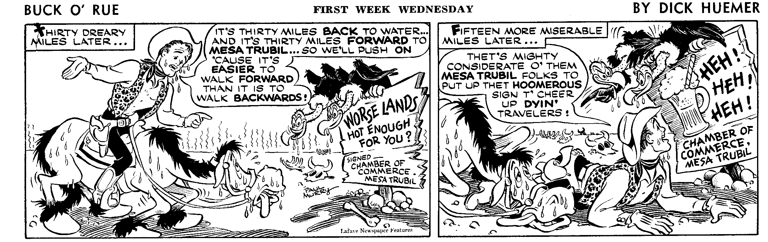 Wednesday strip